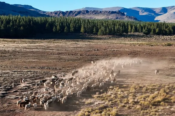 figueroa-prorroga-la-emergencia-agraria-en-neuquen-por-sequi