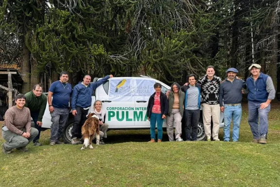 aves-argentinas-y-alianza-del-pastizal-inician-en-pulmari-su
