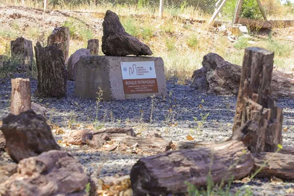 el-museo-del-desierto-patagonico-en-anelo-integra-geologia-h