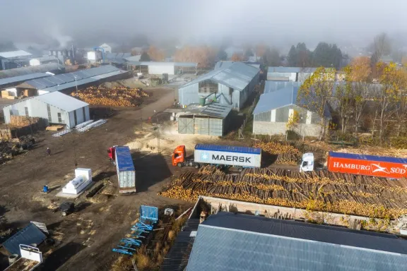 junin-de-los-andes-tendra-planta-de-pellets-de-biomasa-con-i