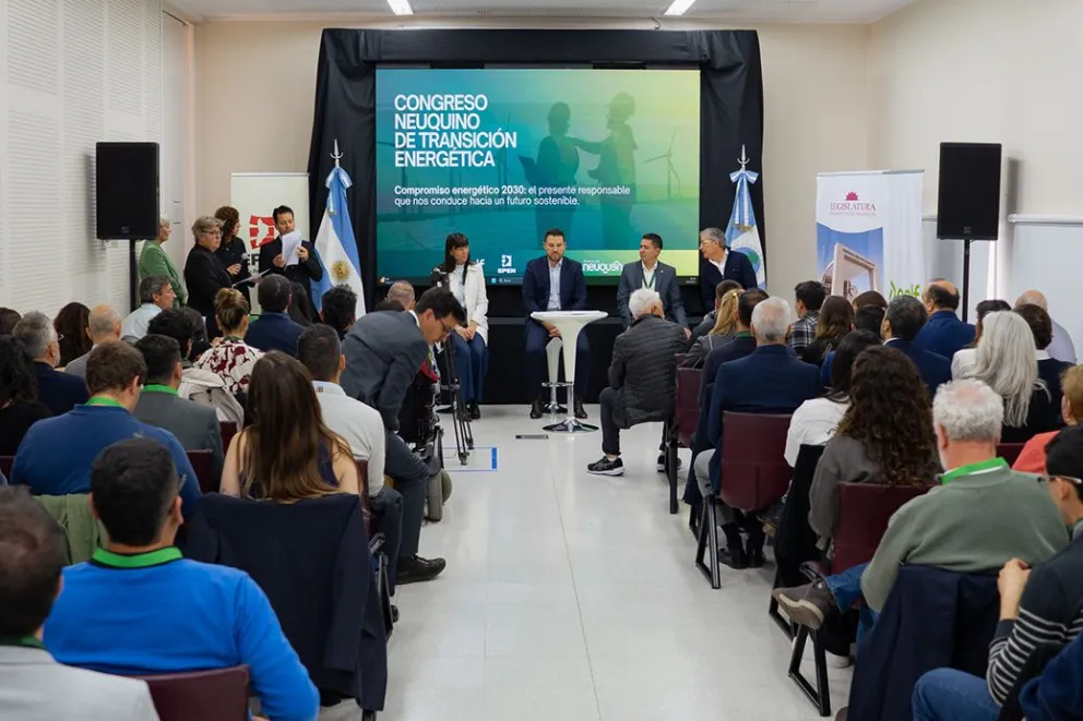 Transicion energetica nqn